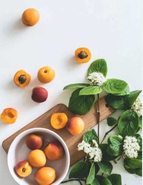 برند حرفه ای مد و عطر نینا ریچی